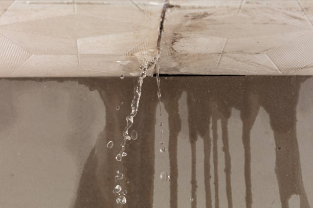Professional Structural Drying technician working in Slaton, TX